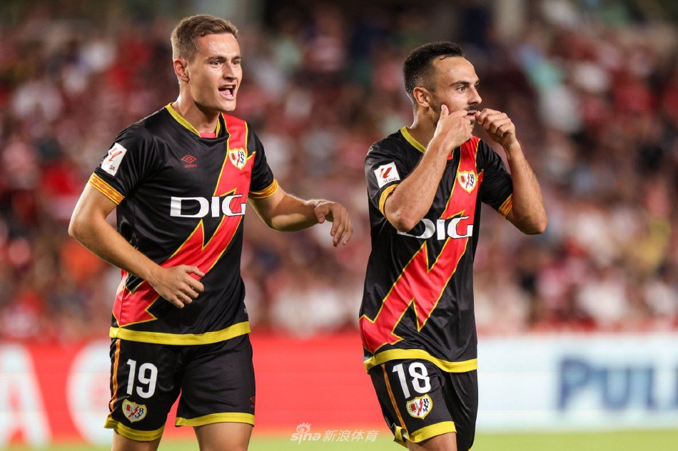 近年来他们 近年来他们